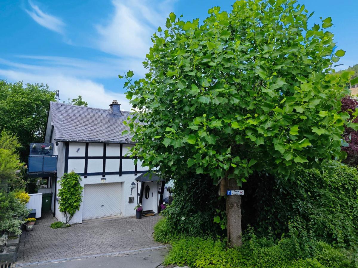 Ferienwohnung Platzhirsch Fuer 2 - 4 Pers. Winterberg Exterior foto